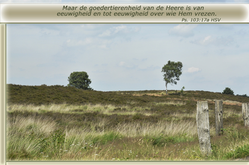 Klik voor een vergroting!