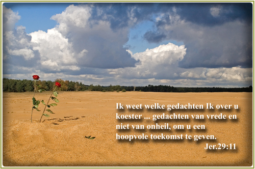 Klik voor een vergroting!