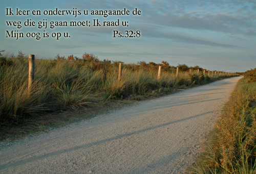 Klik voor een vergroting!