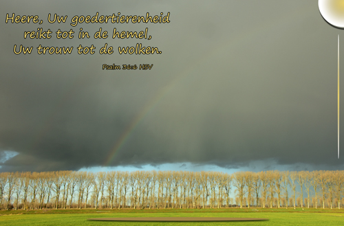 Klik voor een vergroting!