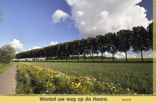 Klik voor een vergroting!