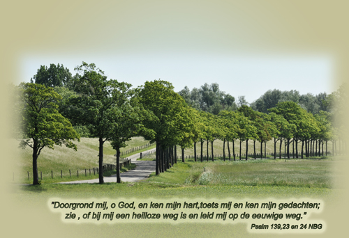 Klik voor een vergroting!