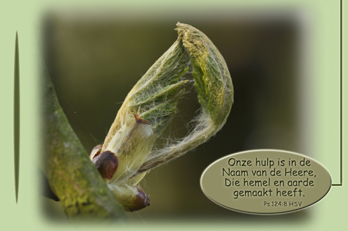 Klik voor een vergroting!