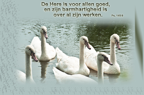 Klik voor een vergroting!