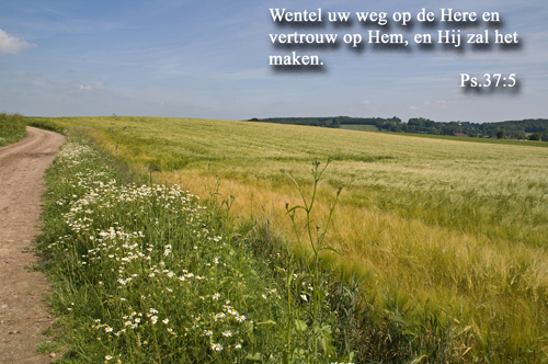 Klik voor een vergroting!