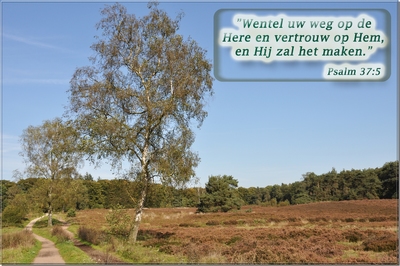 Klik voor een vergroting!