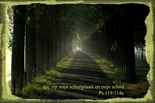 Klik voor een vergroting!