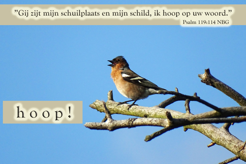Klik voor een vergroting!
