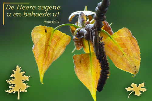 Klik voor een vergroting!