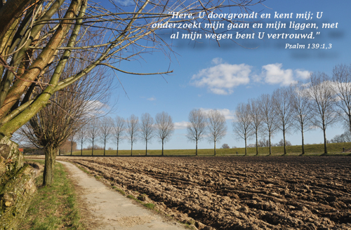 Klik voor een vergroting!