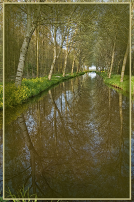Klik voor een vergroting!