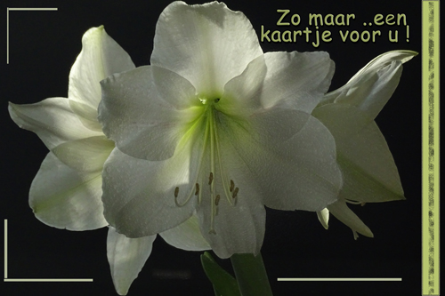 Klik voor een vergroting!