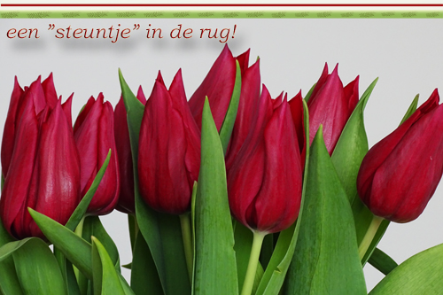 Klik voor een vergroting!