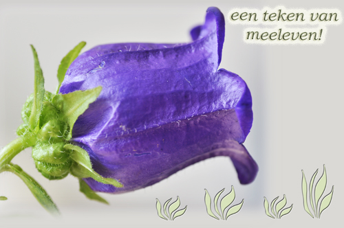 Klik voor een vergroting!