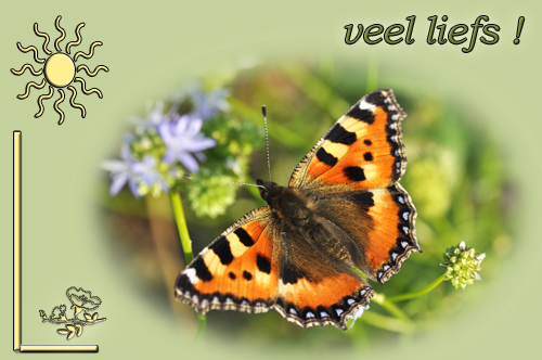 Klik voor een vergroting!