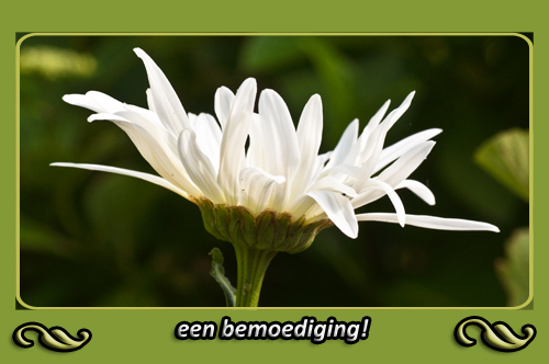 Klik voor een vergroting!