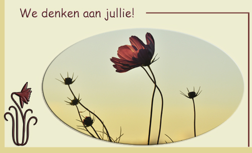 Klik voor een vergroting!