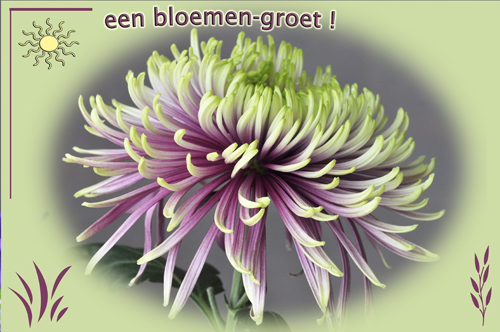 Klik voor een vergroting!