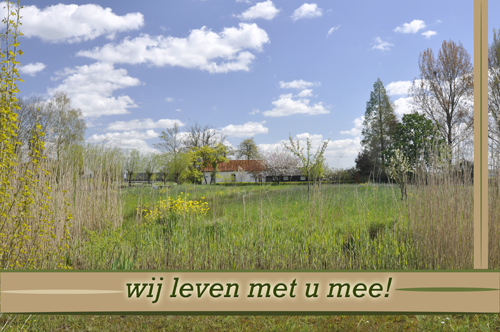 Klik voor een vergroting!
