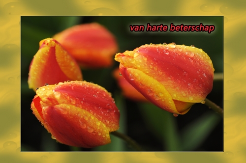 Klik voor een vergroting!