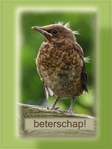 Klik voor een vergroting!