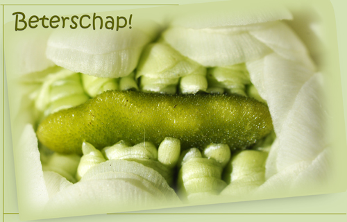 Klik voor een vergroting!