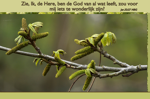 Klik voor een vergroting!