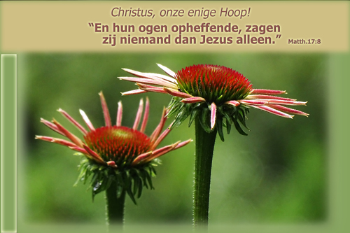 Klik voor een vergroting!