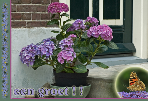 Klik voor een vergroting!