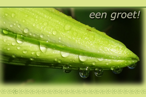 Klik voor een vergroting!