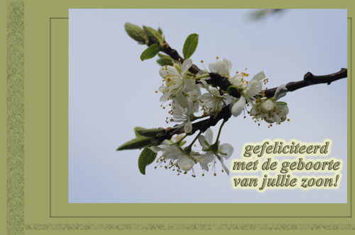 Klik voor een vergroting!
