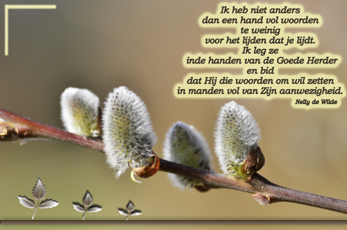 Klik voor een vergroting!