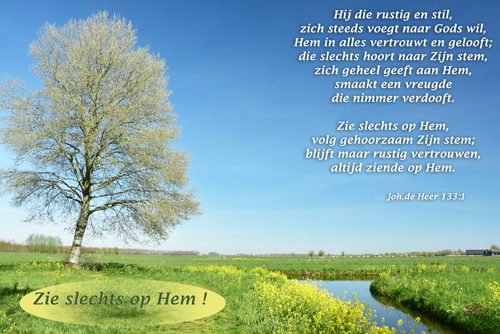Klik voor een vergroting!