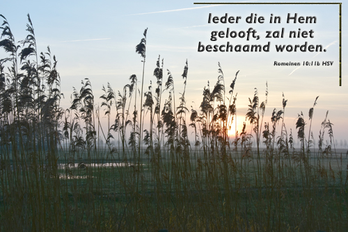 Klik voor een vergroting!