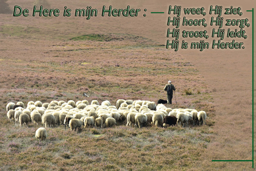 Klik voor een vergroting!
