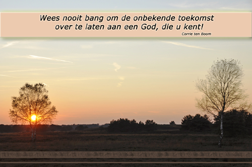 Klik voor een vergroting!