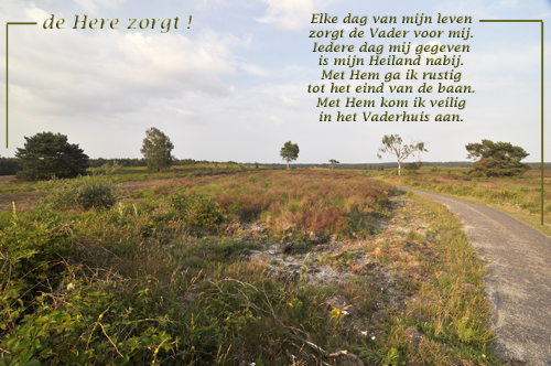 Klik voor een vergroting!