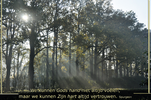 Klik voor een vergroting!