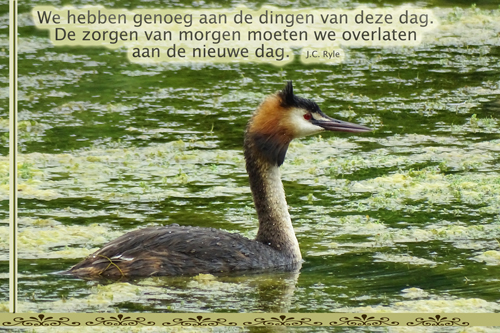 Klik voor een vergroting!