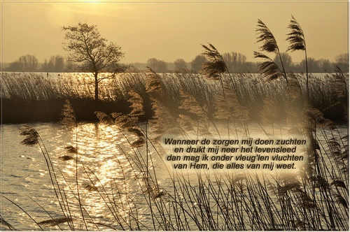 Klik voor een vergroting!