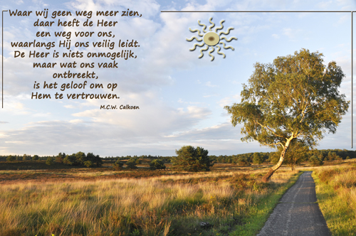 Klik voor een vergroting!