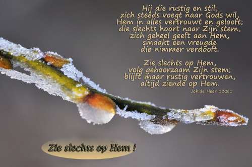Klik voor een vergroting!