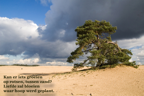 Klik voor een vergroting!