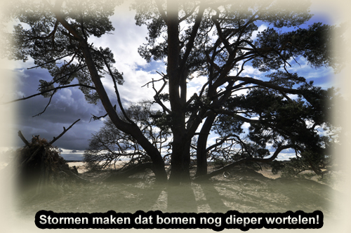 Klik voor een vergroting!