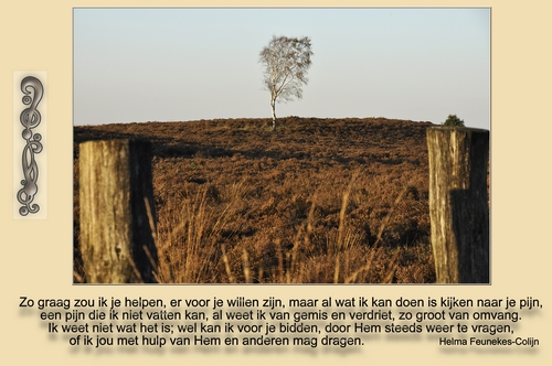 Klik voor een vergroting!