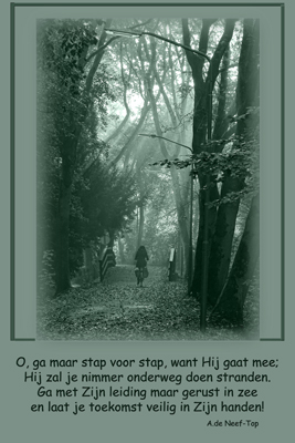Klik voor een vergroting!