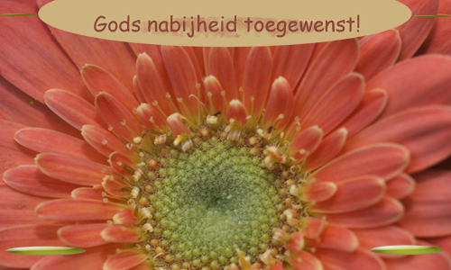 Klik voor een vergroting!