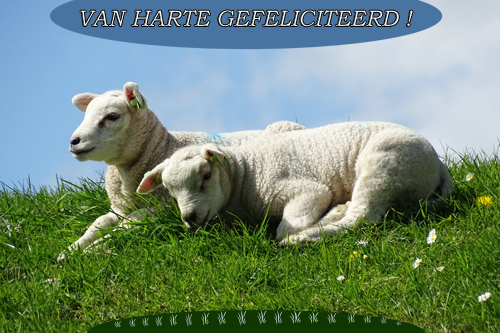 Klik voor een vergroting!