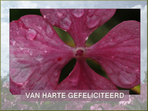 Klik voor een vergroting!