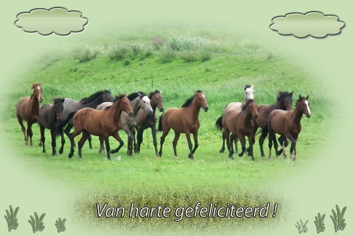 Klik voor een vergroting!